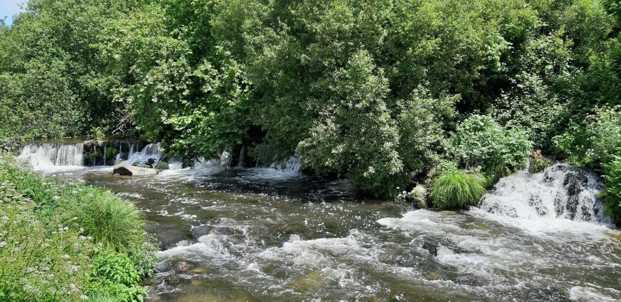 Dream Corner By Waterfalls, 20 Min To Oporto, By Porto With Love Lda Parada  エクステリア 写真