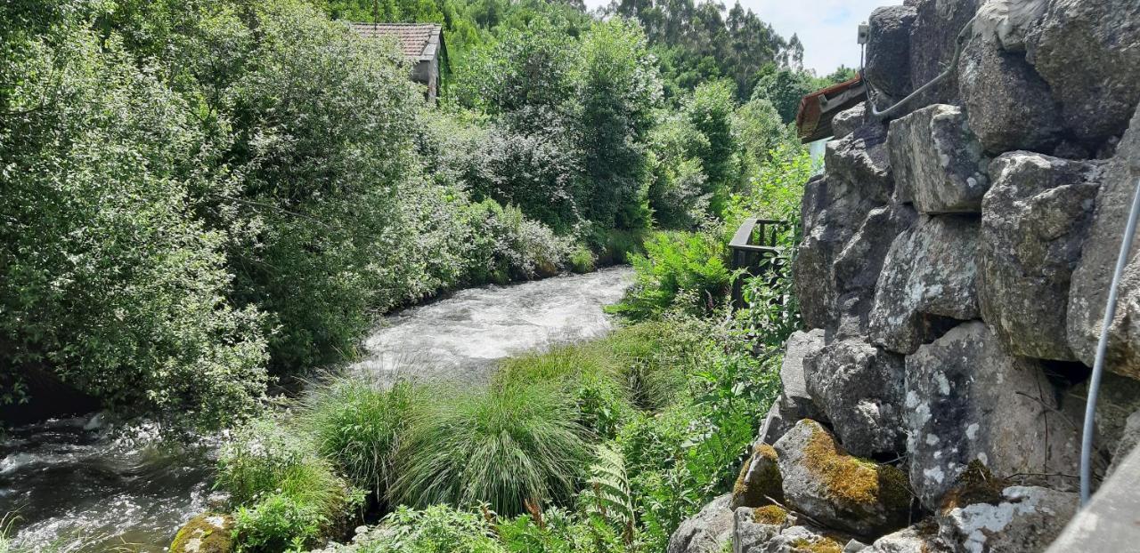 Dream Corner By Waterfalls, 20 Min To Oporto, By Porto With Love Lda Parada  エクステリア 写真