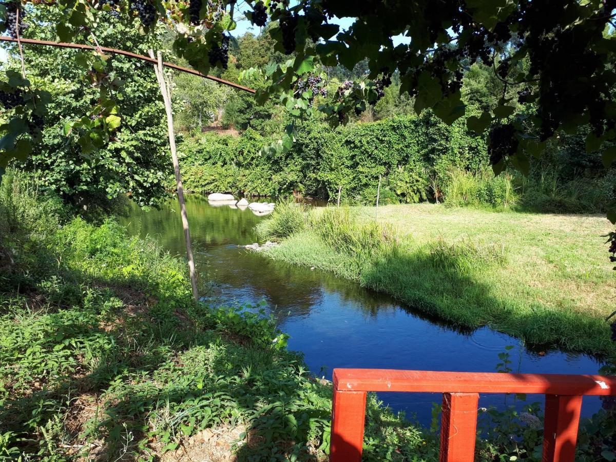Dream Corner By Waterfalls, 20 Min To Oporto, By Porto With Love Lda Parada  エクステリア 写真